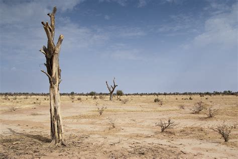 The edges of the Sahara desert | 325 million people live on … | Flickr