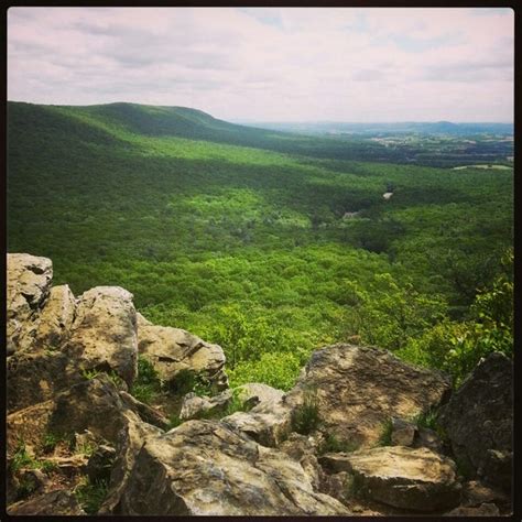 Hawk Mountain Sanctuary - Trails in Kempton