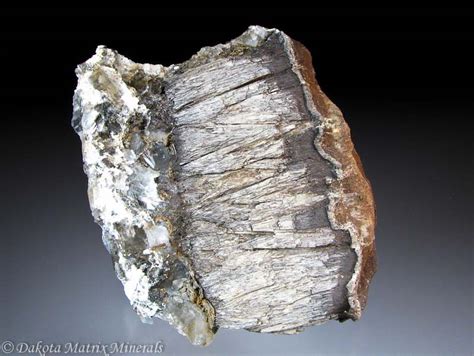 Cone in Cone Mineral Specimen For Sale