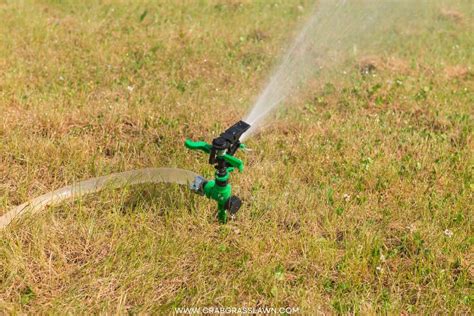 How To Get Burnt Grass Green Again | CrabgrassLawn