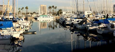 File:Marina del Rey, California.jpg - Wikimedia Commons