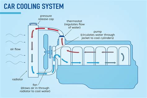 Why engine coolant is so important | Car Servicing | The NRMA