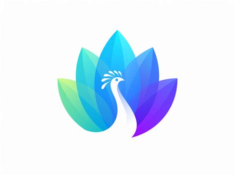 peacock logo by Lelevien on Dribbble