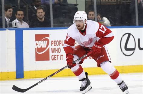 Detroit Red Wings: Grading the 2019-20 defensemen performances