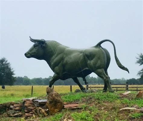 Bronze Lawn Outdoor Art of Bull Sculpture | Animal Sculpture