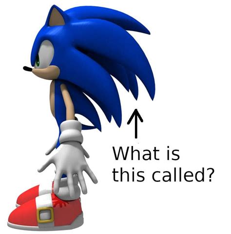 Spikes? Quills? ...Hair? I must know! : r/SonicTheHedgehog