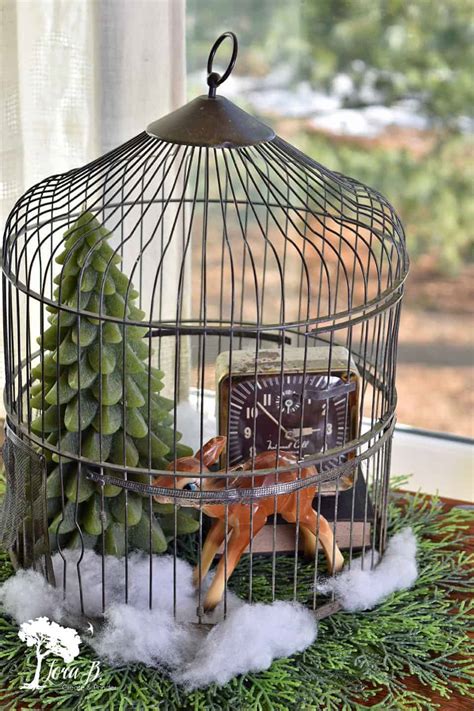 Bird Cage Design Ideas