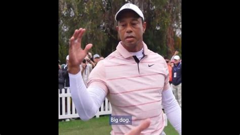 Tiger Woods "Big Dog" | Know Your Meme