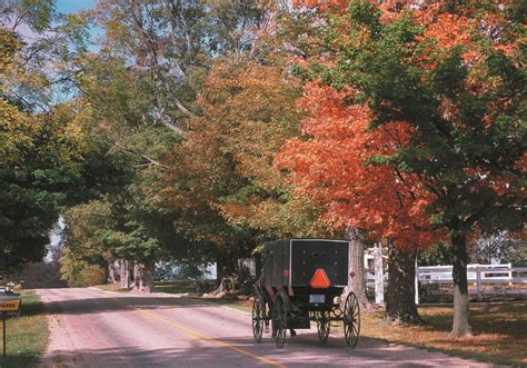 Places to See Fall Foliage in Indiana’s Cool North | NITDC