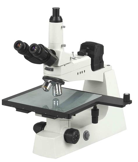 Metallurgical Microscopy Basics & Applications | Bioimager