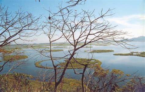 Floating Phumdis of Loktak Lake, India | Amusing Planet