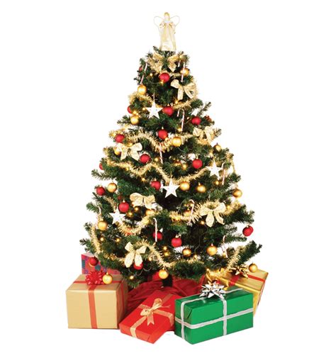 Christmas Tree PNG Transparent Images - PNG All