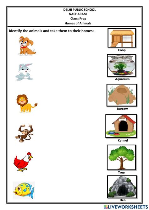 Animals and Their Homes Worksheet