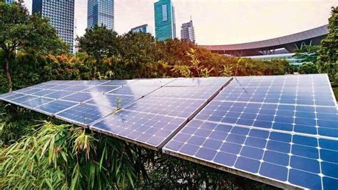 India to miss renewable energy goal, officials, experts say | Today News