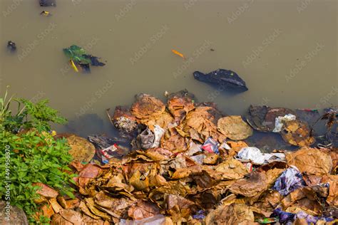 river pollution image. save river water form pollution. Stock Photo | Adobe Stock