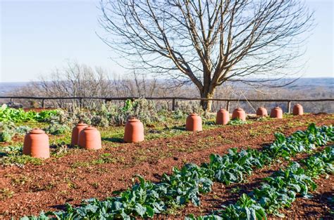 Monticello Vegetable Garden - The Blissful Gardeners