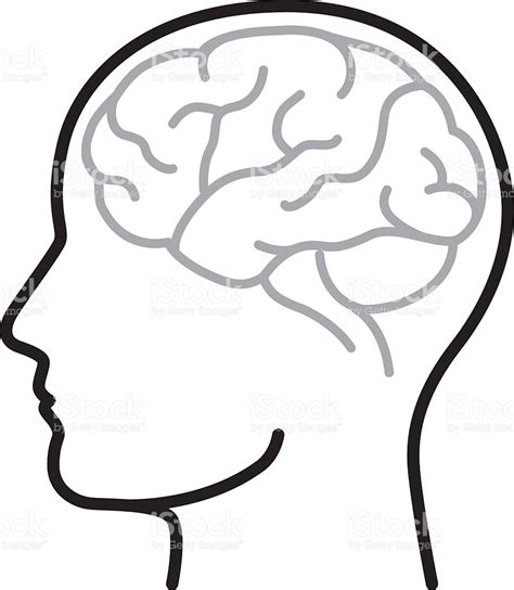 The Brain Clipart | Free download on ClipArtMag