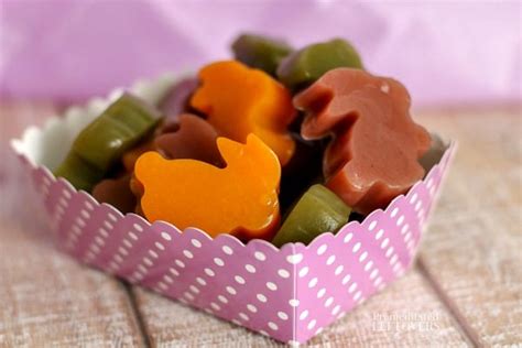 Homemade Bunny Fruit Juice Gummy Recipe - Only 3 Ingredients!