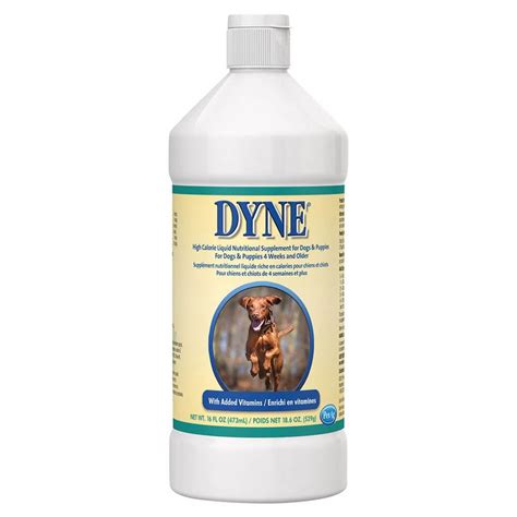 Dyne for Dogs | High Calorie Supplements - Lambert Vet Supply | Dog, Cat, Horse, Kennel, & Vet ...