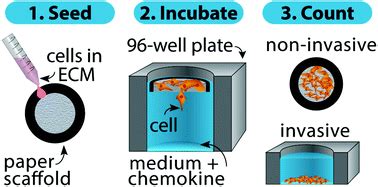 Paper-based Transwell assays: an inexpensive alternative to study cellular invasion - Analyst ...