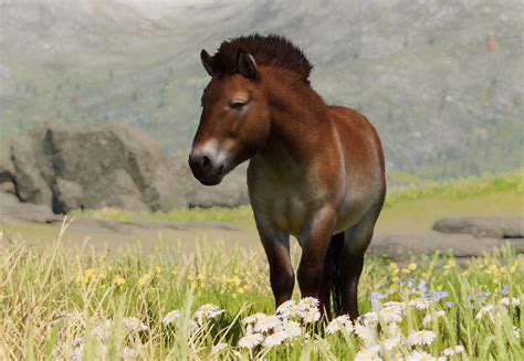 Caballo de Przewalski - Planet Zoo