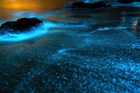 Vaadhoo Island, Maldives Bioluminescent Beach – TRAVOH