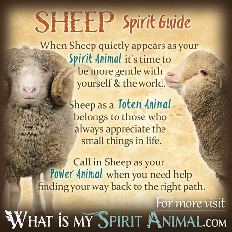 Sheep & Ram Symbolism & Meaning | Spirit, Totem & Power Animal