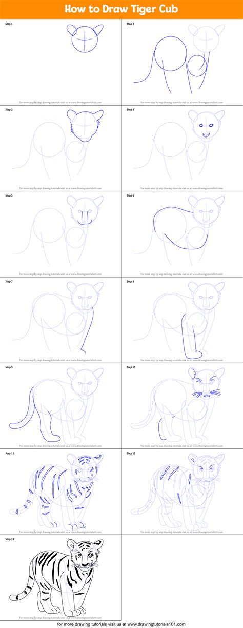 How to Draw Tiger Cub printable step by step drawing sheet ...