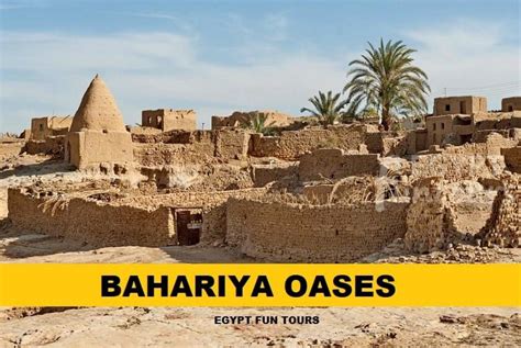 Bahariya Oasis - Egypt Fun Tours