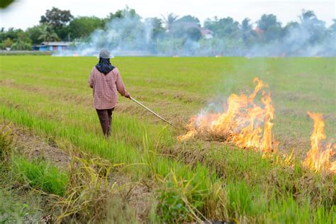 Air pollution an increasing burden in Southeast Asia