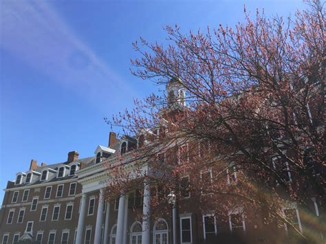 Virginia Tech Graduate School honors top scholars of the 2015-16 academic year | Virginia Tech ...