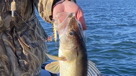 Harrington: How Light Intensity Impacts Walleye Fishing — Mack’s Lure ...