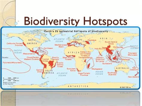 PPT - Biodiversity Hotspots PowerPoint Presentation - ID:2146489