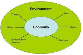 ecosystem & ecology: Ecological economics vs environmental economics