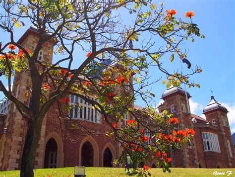 Perth Daily Photo : Government House Gardens..