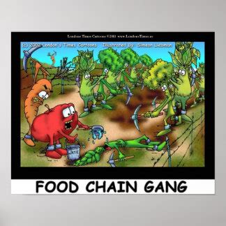 The Food Chain Posters | Zazzle