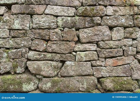 Stone Wall Texture Covered with Moss Stock Photo - Image of background ...