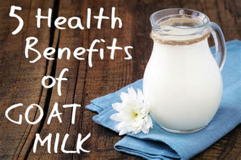 5 Amazing Goat Milk Benefits, Uses and Nutritional Values