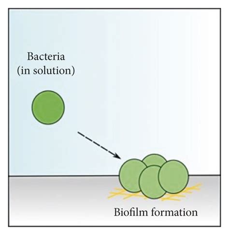 Cell migration is an important factor in physiological and pathological ...