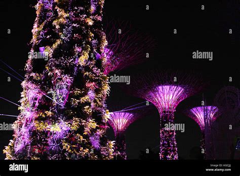 Gardens by The Bay at Night 2 Stock Photo - Alamy