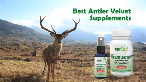 NutriNZ Deer Antler Velvet: Best Choice for Joint and Performance ...