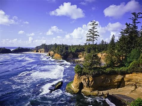 11 Top-Rated Attractions & Things to Do in Depoe Bay, Oregon