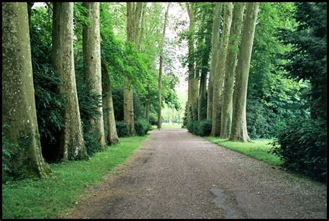 Fontainebleau Forest | Fontainebleau Castle - France More ph… | Flickr