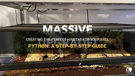 Creating The Perfect Habitat For Your Ball Python: A Step-By-Step Guide | PetShun