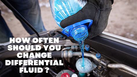 How Often Should You Change Differential Fluid? & How Much?