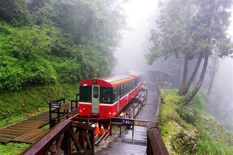 Alishan Mountain Taiwan Photo Gallery – InspirationSeek.com