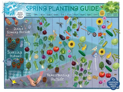 Spring Planting Guide Poster – Hudson Valley Seed Company