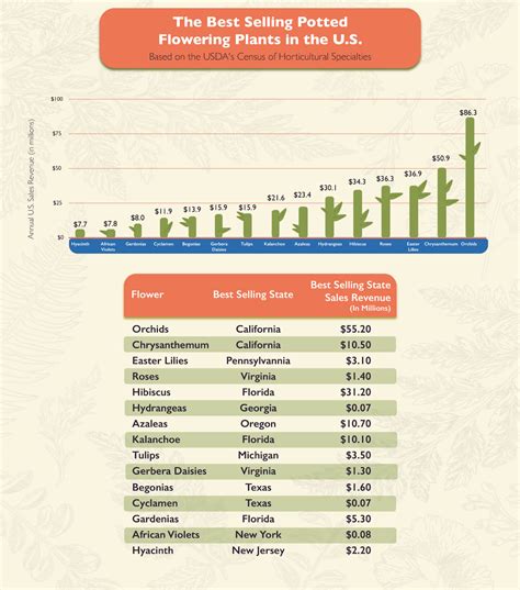 The Most Popular Flowers In America By State | Breck's