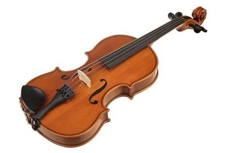 Violin - History, Construction, Parts & Makers - Phamox Music