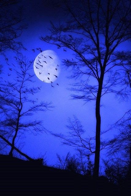 Pin on The Moon light | Dark landscape, Moon photography, Night sky ...